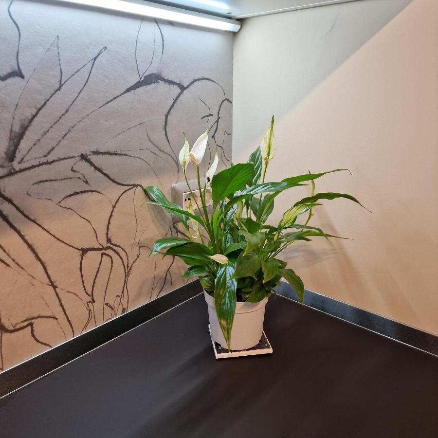 Corso Vittorio 364 Appartement Cagliari Buitenkant foto